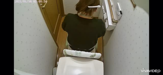 妻のトイレ盗撮