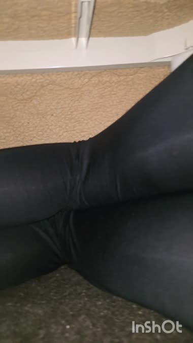 こたつの中は撮り放題