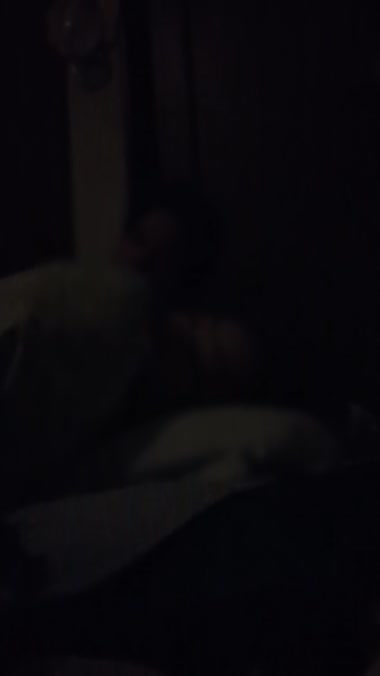 お宝探し（生探し失敗）