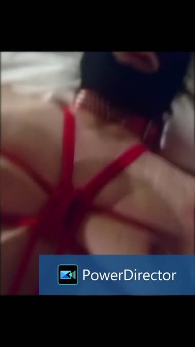 Ｓ男のつもりが気づいたらМ犬・