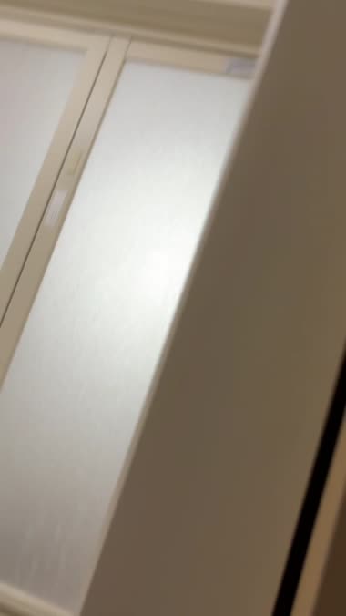 洗濯前下着観察