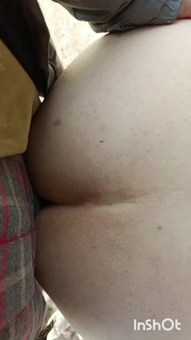 相互鑑賞、貸し出し