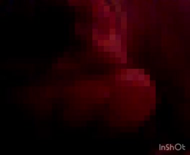 ぽちゃ妻のフェラ