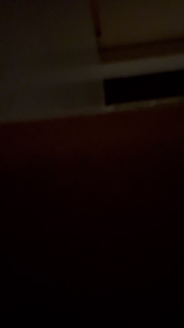 やっと少しだけ。。