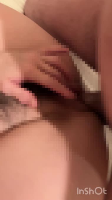 今年も貸出し始めました！