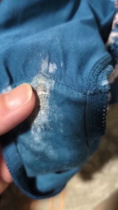 お宝探し22(お宝の活用)