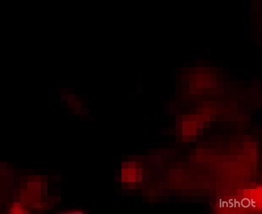 ぽちゃ妻の丁寧なフェラ