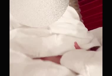 バック嵌め鑑賞