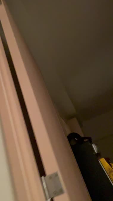 コソッと通りすがり