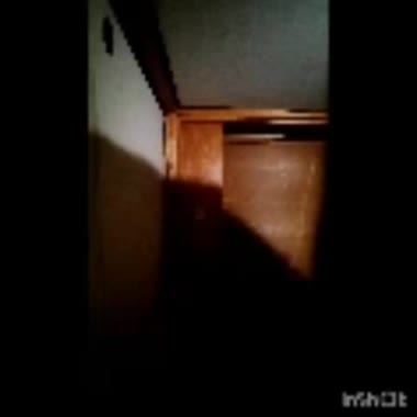 音声のみ。妻とのセックス。