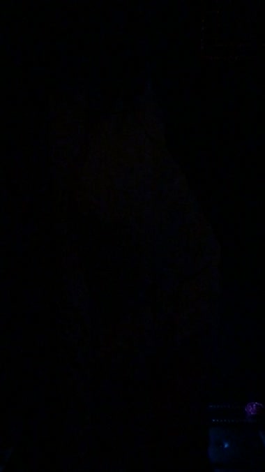 画像なし都内女社長