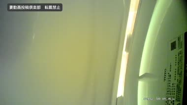 妻のトイレ覗き