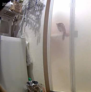 又リクエストを頂いたので