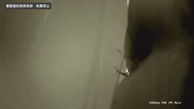 妻のトイレ覗き