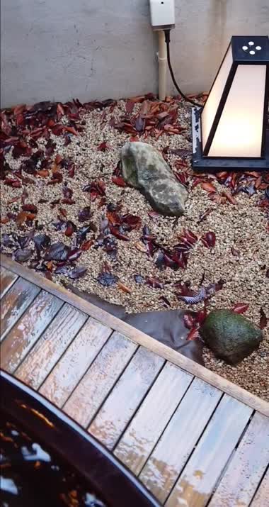 貸切露天風呂にて