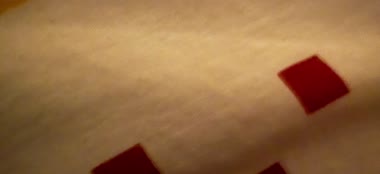 音声だけですいません