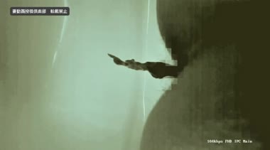 妻のトイレ覗きp.3