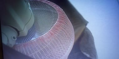 ショートバージョン