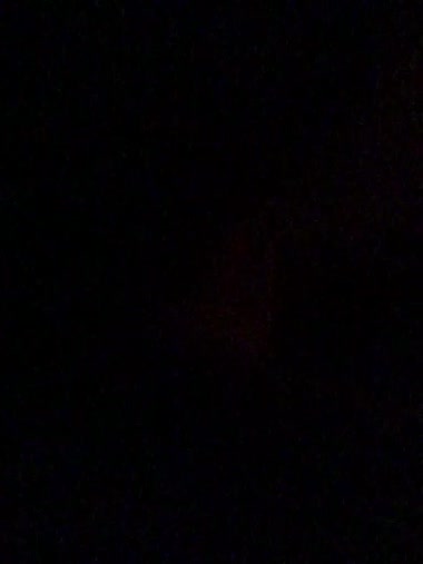 久々にとれました