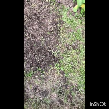 （再）汗と淫汁まみれ