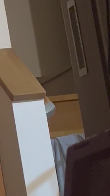 いつもの後ろ姿