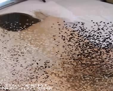 気持ちいい不適切な関係