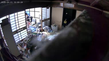 おっぱいの大きい従兄弟嫁