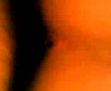 過去動画