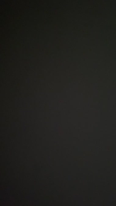 音声のみです