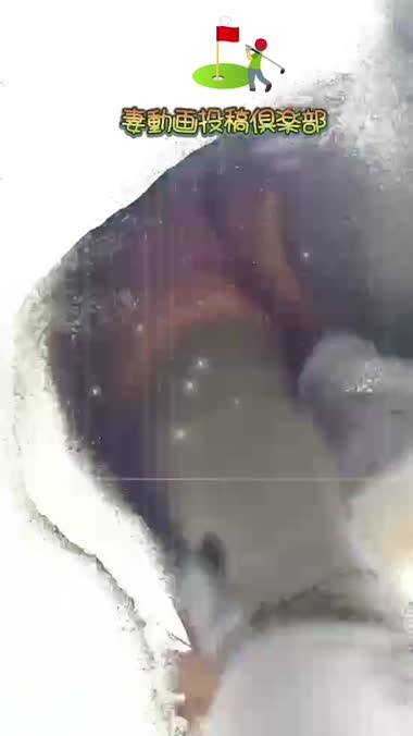 ナイスショットナイスイン