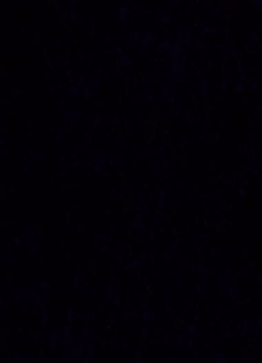 音声