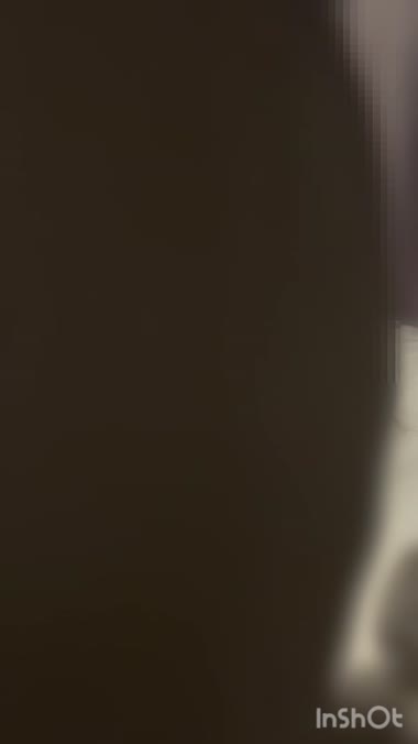 珍しく普段動画