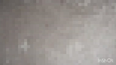 泥酔剛毛看護師妻