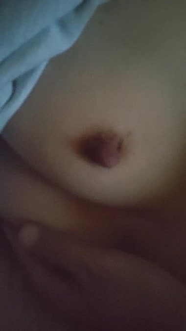 今撮りです