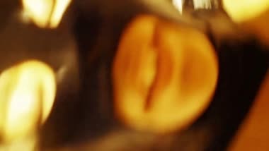 全頭マスク婦人A