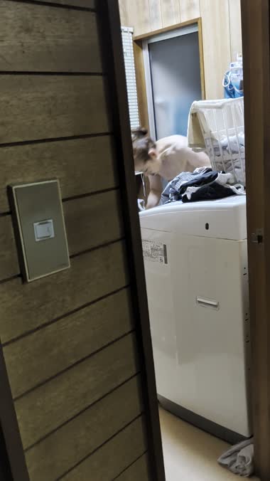風呂上がり