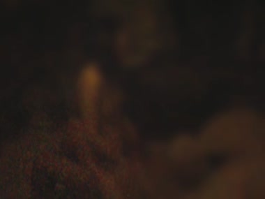 リクエストにお応えして②