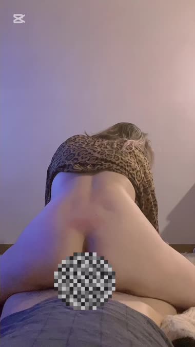女豹の騎乗