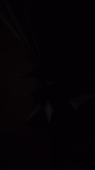音声のみですが