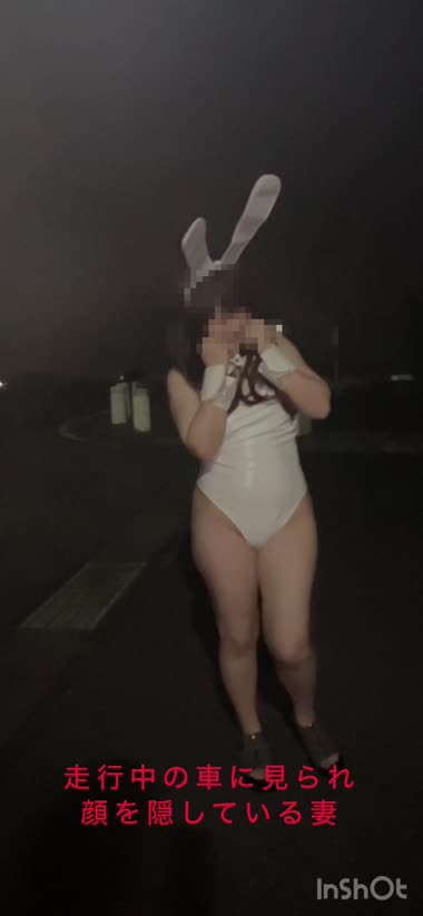道路沿いで白うさ