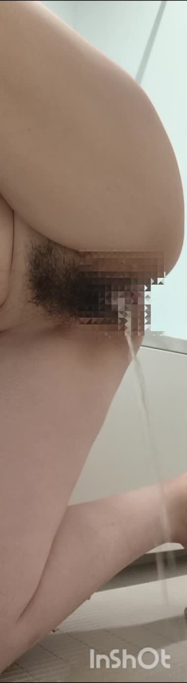 わんわん